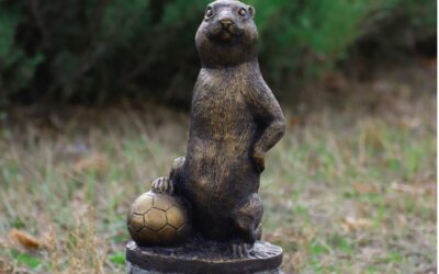 Reflections on Letting Go of Expectations