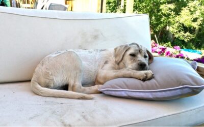 Musings on the Need for Quiet Time